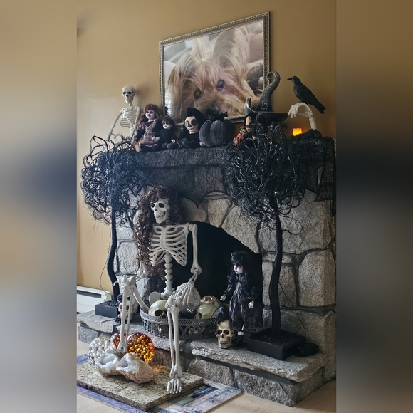 Meet your Posher, Beverly - Picture 12 of 16